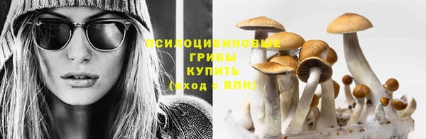 меф Бугульма