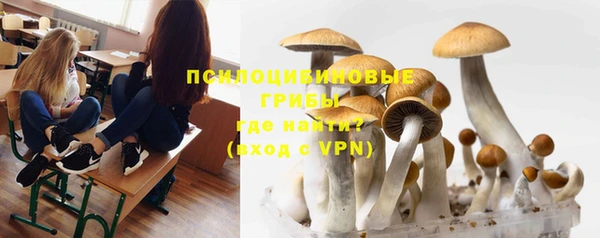 винт Бронницы